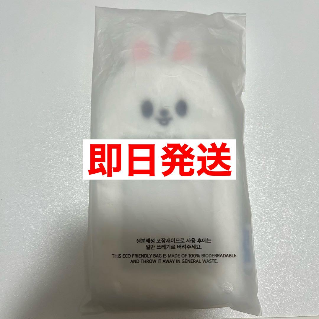 

[USED] Stray Kids Lino Lee Know Trading Card Holder PILOT