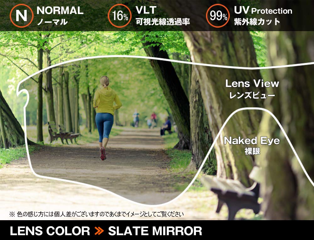 ESS Crossbow Replacement Lens Set with Nose Pads Sports Sunglasses CROSSBOW Slate Mirror Made In-house