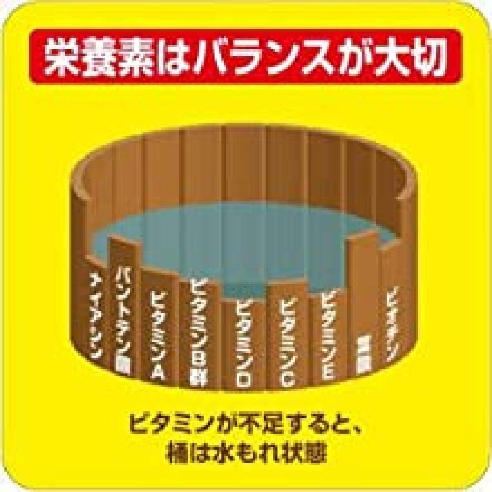 NATUREMADE Von Otsuka Pharmaceutical Multivitamin 100 Tabletten - 100 Tagesdosen