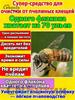 Bee Treatment Product