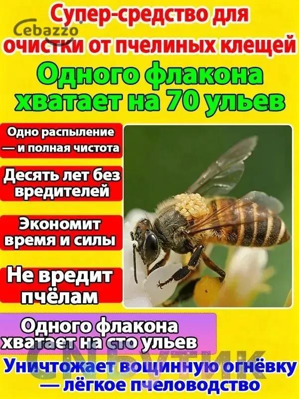Bee Treatment Product