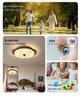 Chinese Style Walnut Wood Grain Ceiling Light for Study or Master Bedroom, Retro Wabi-Sabi Design, Eye Protection