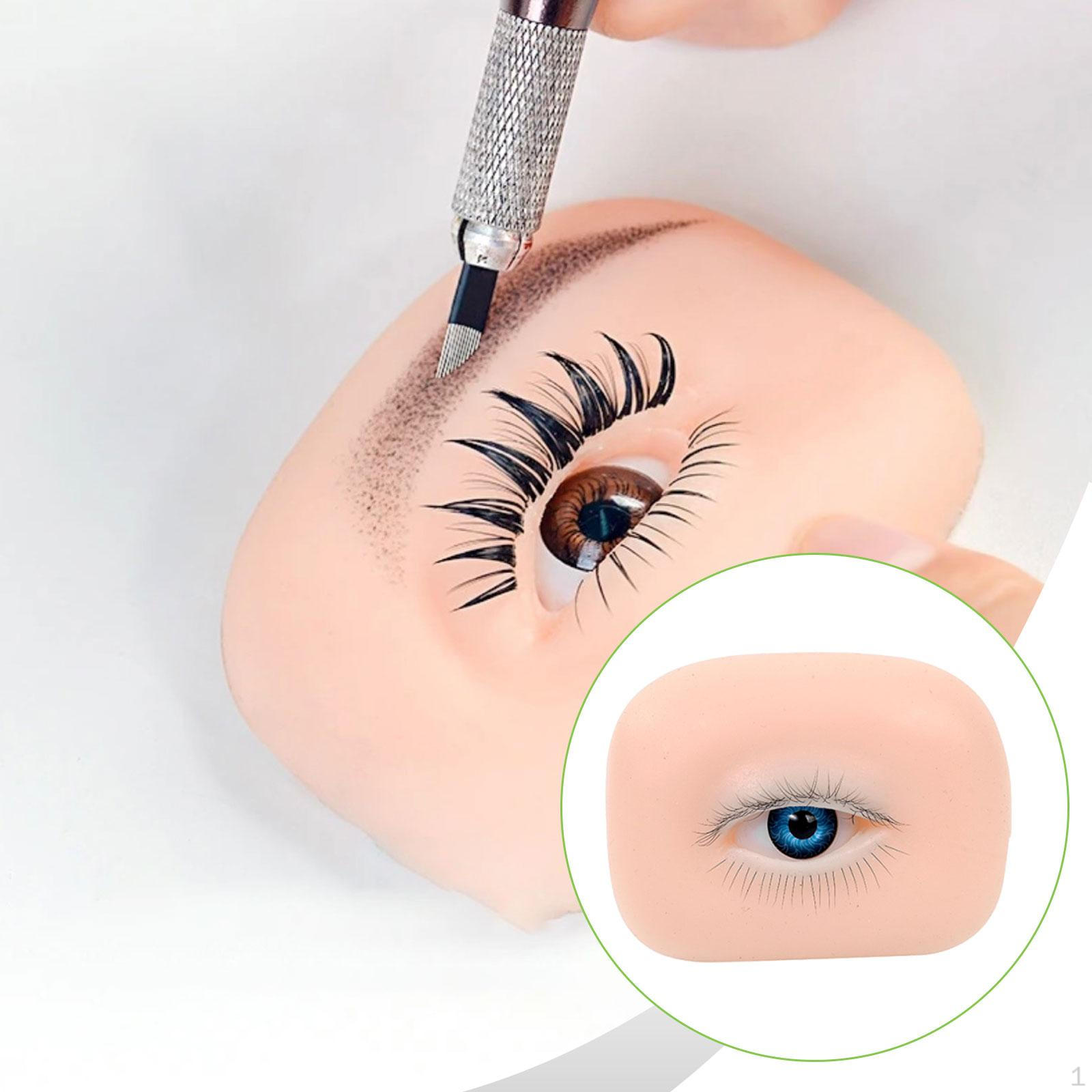 

5D Eye Model Made of , Practical Beauty Tool, Training Lightweight, Convenient for Beginners, Left