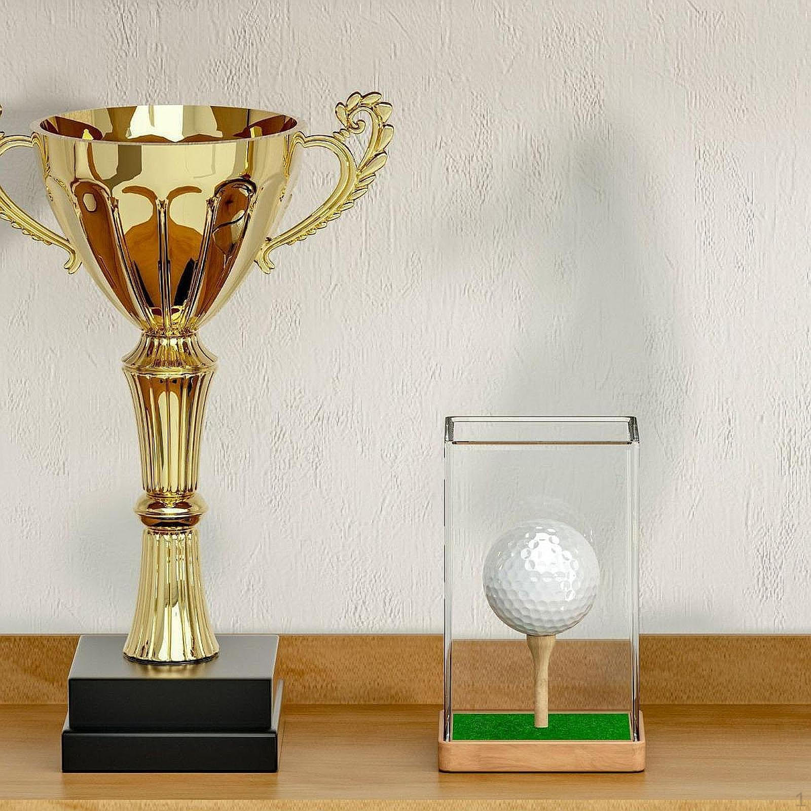 

Подставка для гольф-мяча Коробка Защитный чехол Пылезащитный Многофункциональный Держатель с Хранилищем для Ти для