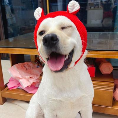 1PC Dog Hat Labrador Golden Retriever Funny Headgear Warm Pet Puppy Dog Ears In Winter