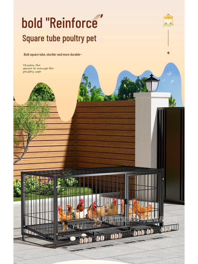 Extra Large Outdoor Chicken Cage with Egg Tray and Secure Enclosure