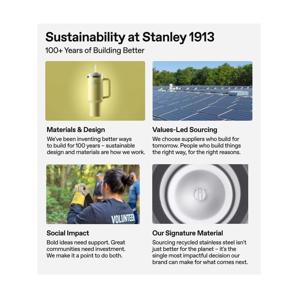 Stanley Quencher H2.0 FlowState Stainless Steel Vacuum Insulated Tumbler 30oz with Lid and Straw Black Chroma