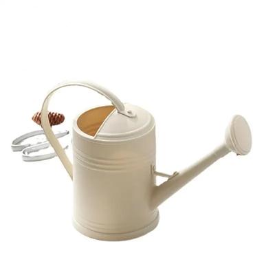 2L Vintage Watering Can Flower Kettle With Large Capacity For Home And Garden Decor Gardening Accessories Water Spraying Pot