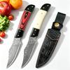 Coltello in Acciaio di Damasco Coltello da Cucina Fatto a Mano Coltello Ultra-Affilato per Tagliare la Carne Strumento