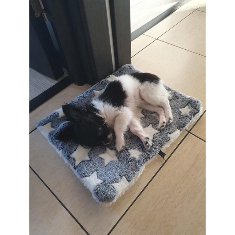 Blue With Star Plush Pet Blanket Mat Warming Soft Flannel Thickened Pet 69x52cm