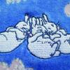 Marushin Peter Rabbit Blue Blooming Hand Antibacterial and Deodorizing 5605012200 Towel, No-Twist Yarn, Finish,