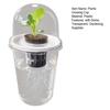 1/2/3/5/6/8/10Pcs Hydroponic Plants Growing Cup with Dome Transparent Plants Germination Pot Gardening Nursery Plants Starting Container
