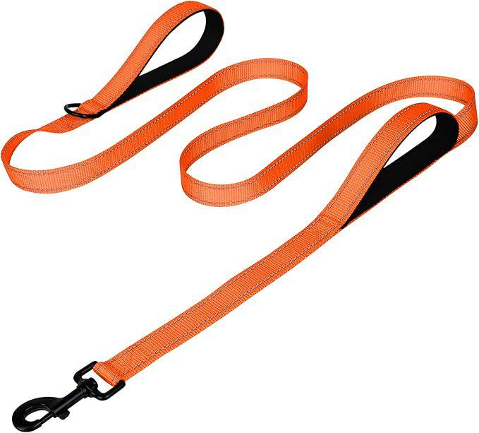 Double Layer Explosion-Proof Reflective Dog Leash - Shock-Absorbing, Thickened Pet Leash