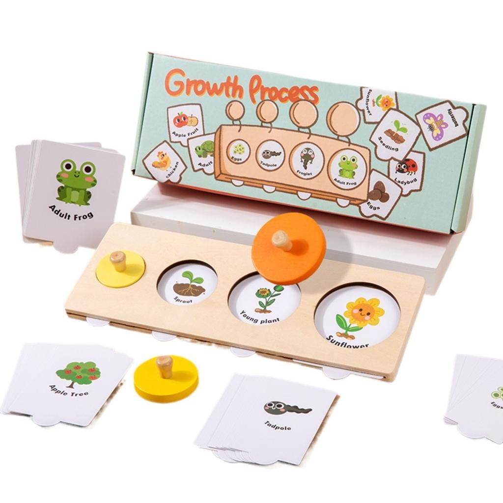 Montessori Educational Children Toy Wooden Sorting Matching Board Growth Process Cognize Preschool Learning Puzzle Game for Kids