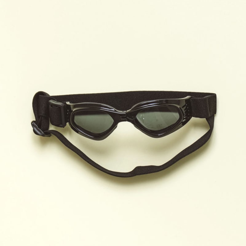 [Pet] Foldable Goggles