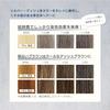 Salon Exclusive Neo Silver Ash MOUTON 250mL Color Care Bleach Care