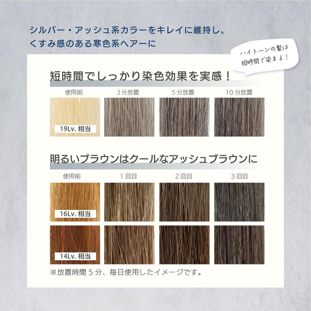Salon Exclusive Neo Silver Ash MOUTON 250mL Color Care Bleach Care