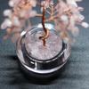 Citrine Gravel Crystal Money Tree Home Ornament Gift