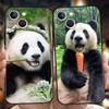 Luxury TPU Soft Phone Case For iPhone 17 Air 16E 16 11 15 14 Pro MAX 12 13 7 8 Plus X XR XS SE 2022 Cover Panda