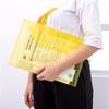 A4 Transparent Plastic Snap Document Bags