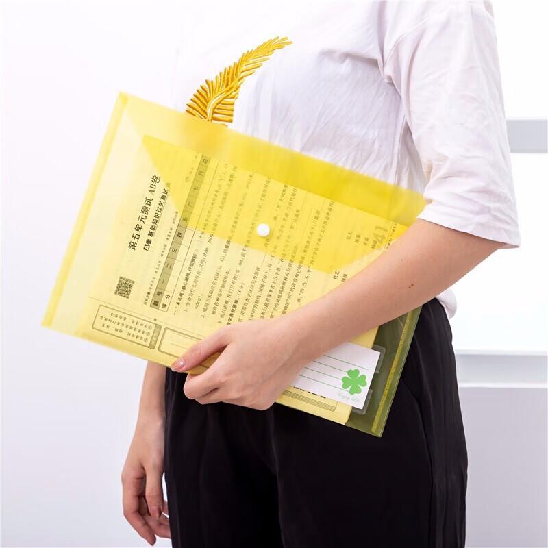 A4 Transparent Plastic Snap Document Bags
