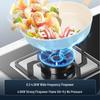 Dual Burner Natural Gas Cooktop CN plug (adapter included)