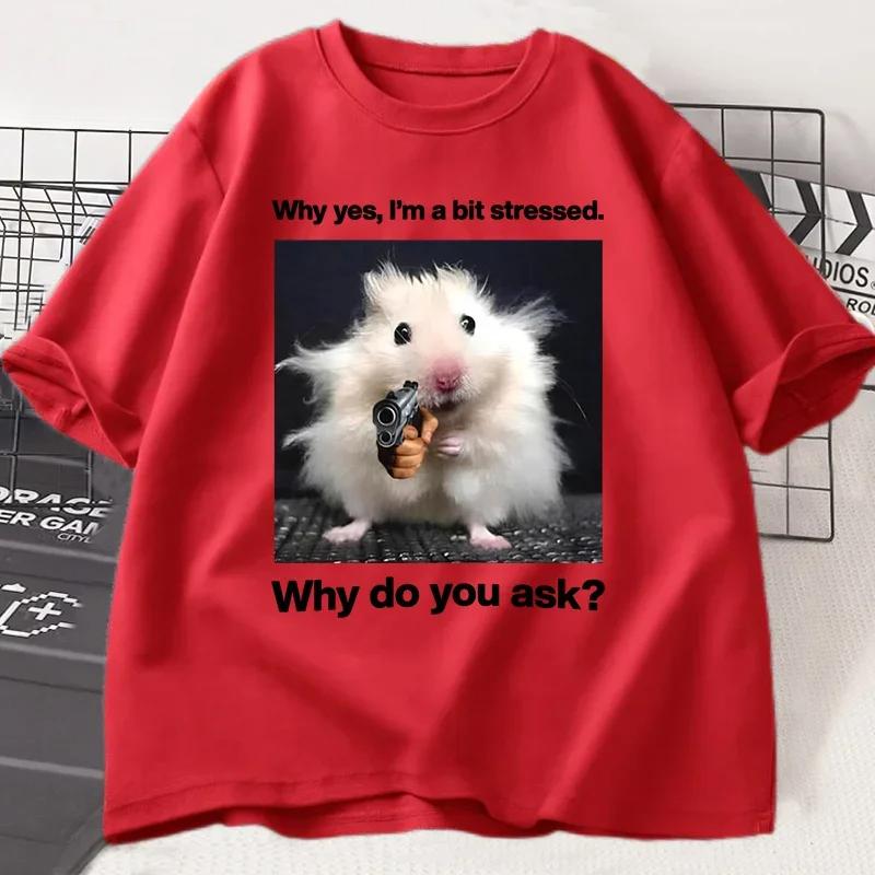 

Почему Он Я Немного В Стрессе Забавная Принтованная Футболка Мужская Женская Странная Одежда Неуравновешенное Животное Мышь Графические Футболки 4XL