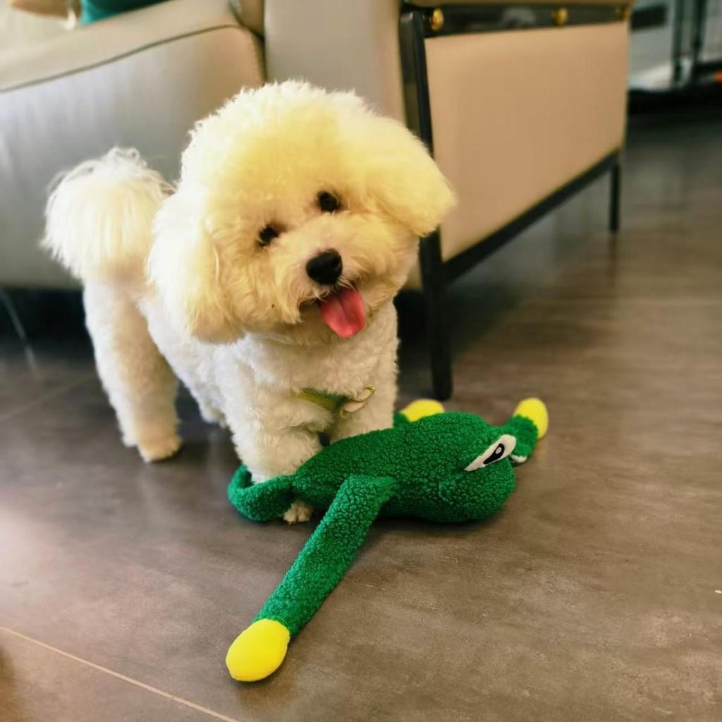 Green Plush Frog Dog Toy with Long Legs and Sound Effect for Fun and Stress Relief
