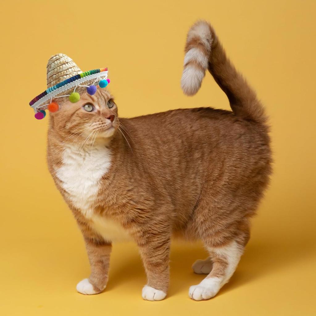 Cat Sombrero Cat Hats Bandana Scarf Rainbow Scarf Pet Straw Hat Cinco De Mayo Pet Hats Mini Sombrero Hat for Cat Puppy Small Dog