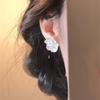 9 Resin flower earrings, small, fresh, simple and versatile stud earrings, niche fashion and high-end earrings.