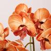 Simulation Phalaenopsis, retro high-grade silicone cotton cherry blossoms, wedding decoration lip Phalaenopsis simulation flower