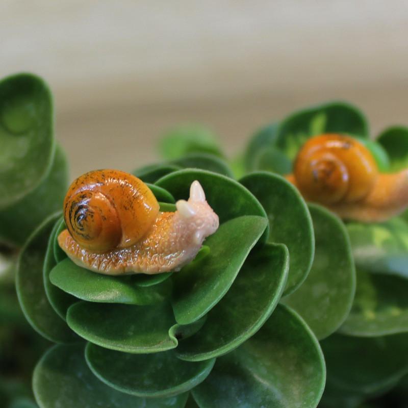 Micro Landscape Succulent Snail Resin Animal Decoration Garden Scene For Party And Holiday