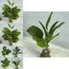 Artificial Indoor Plant With 26 Leaves For Wedding Decorations And House Styling