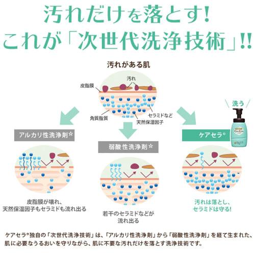 CareCera Foam Highly Moisturizing Body Wash Body Soap Botanical Flower Scent 450ml (x 1)