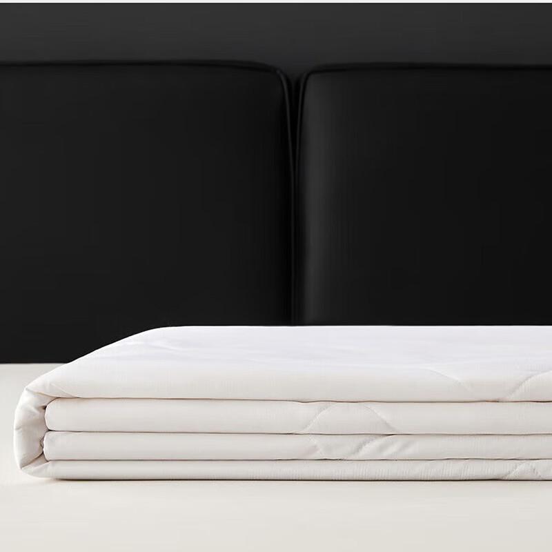 Hengyuanxiang 600g Tussah Silk Quilt