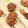 Natural Pine Cones 2-3Cm Pine Balls Pine Flowers Dried Flowers Plants Christmas Decoration Ornaments Accessories Micro Landscape Shooting