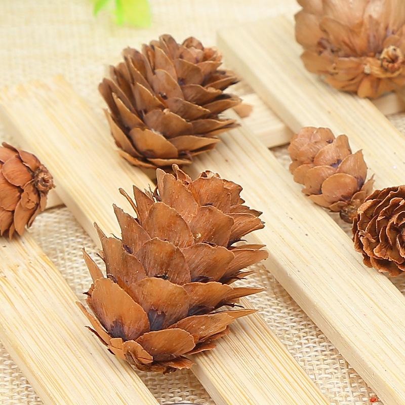 Natural Pine Cones 2-3Cm Pine Balls Pine Flowers Dried Flowers Plants Christmas Decoration Ornaments Accessories Micro Landscape Shooting
