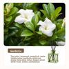 Household Living Room Aromatherapy Essential Oil Fresh and Elegant Decorative Item, Non-flame Aromatherapy Essential Oil Rattan Fragrance
