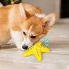 New Dog Starfish Sound-making Toys, Pet Teething Sticks, Dog Toothbrushes, Pet Supplies
