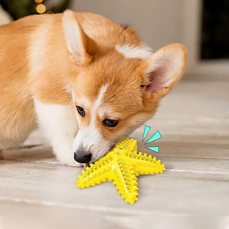 New Dog Starfish Sound-making Toys, Pet Teething Sticks, Dog Toothbrushes, Pet Supplies