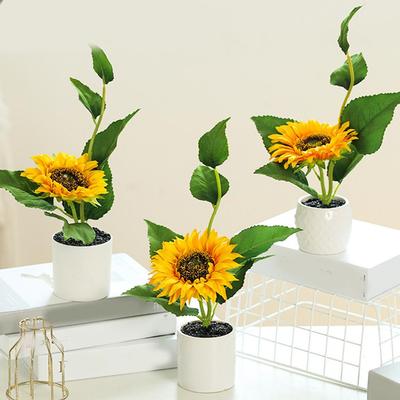 Topfpflanze Sonnenblume Hochzeiten Häuser Won T Fade Lively