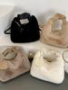 2026 New Winter Plush Furry Handbag: Cute, Handheld, Underarm Small Bag