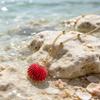Summer Ocean Resort Seashell Pearl Pendant Necklace - High-End Luxury for Women