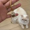 Transparent Cat Hair Storage Box Pet Fur Keepsake Capsule For DIY Crafts Memorial Gift For Pet Lovers Home Display Handmade Deco