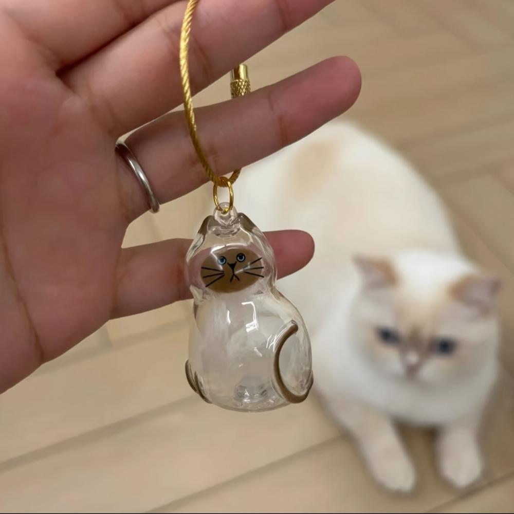 Transparent Cat Hair Storage Box Pet Fur Keepsake Capsule For DIY Crafts Memorial Gift For Pet Lovers Home Display Handmade Deco
