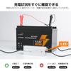 LVYUAN LiFePO4 DC 14.6 V 10A LiFePO4 Iron Phosphate Charger, Fast Charging,