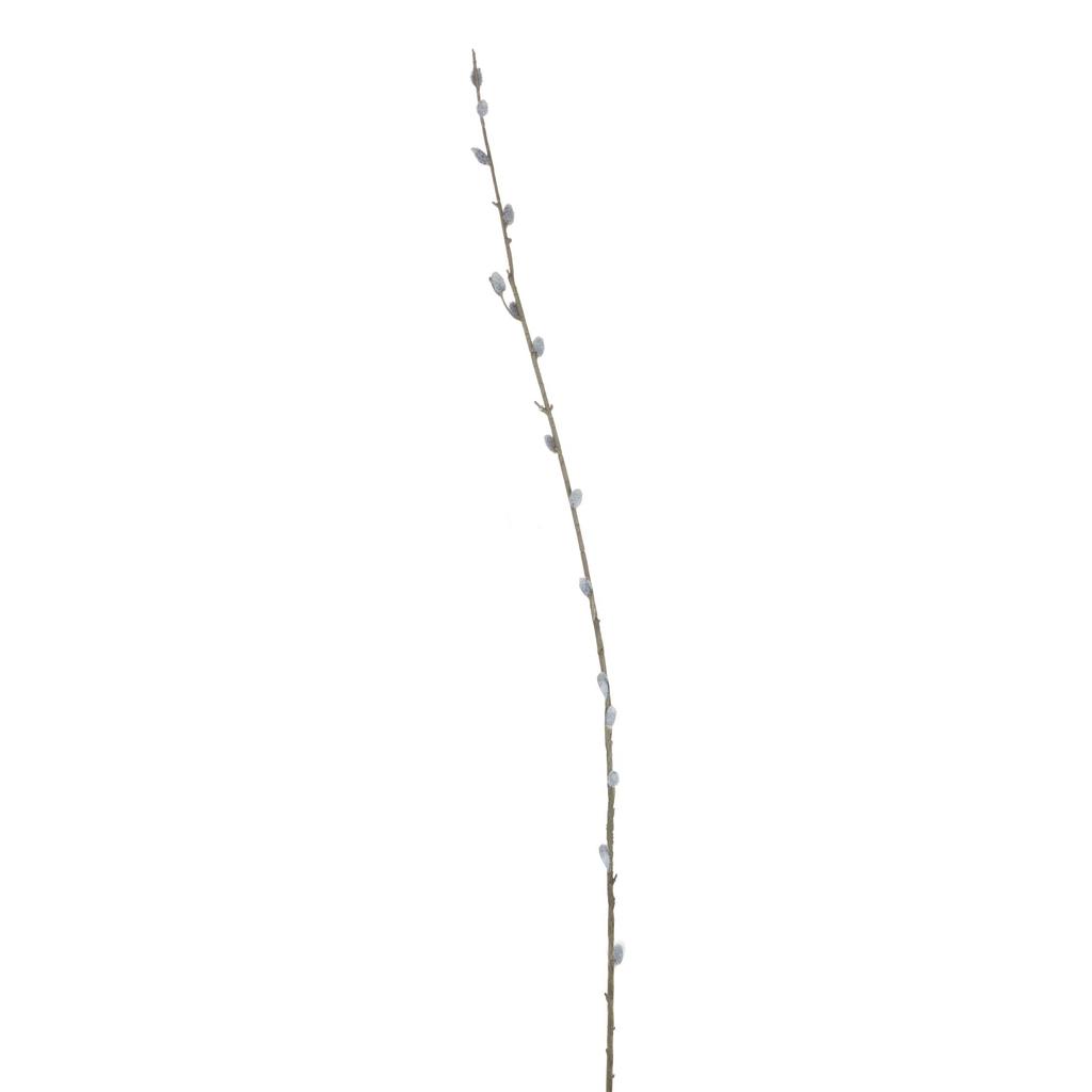 Hill Interiors Künstlicher Weidenkätzchenzweig