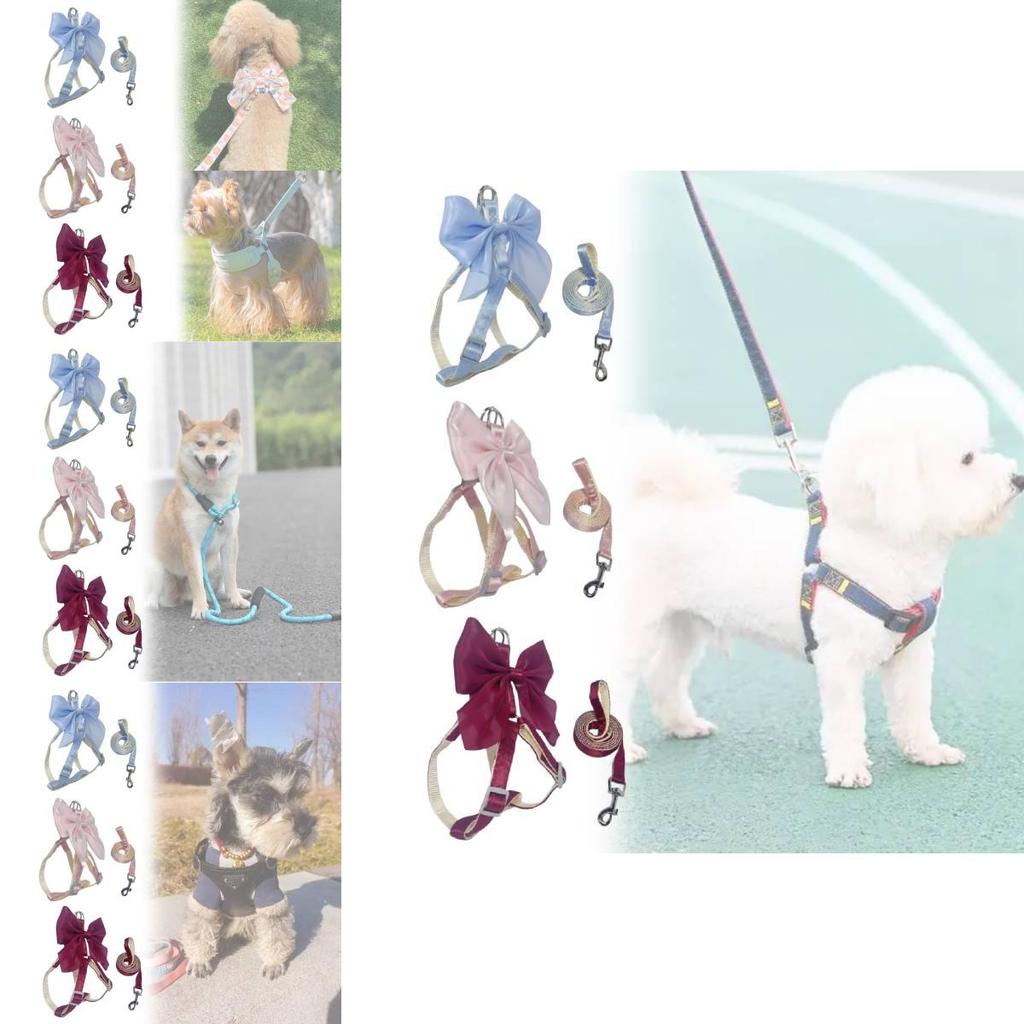 Pet Dog Leash Set With Bright Silk Large Bowknot Chest Harness For Small Dogs And Cats