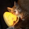 LED Cartoon Cheese Night Light USB Charging Bedroom Bedside Light Dormitory Gift Light Wake-up Light