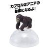 TAKARA TOMY "Ania AC-03 Gorilla (Child)" Animal Dinosaur Realistic Moving Figure Toy for Ages 3 and Up, Meets Toy Safety Standards, ST Mark, ANIA